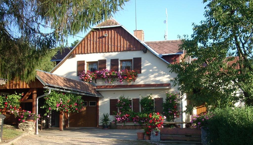 Pension Ivanka Jestrabi V Krkonosich 외부 사진